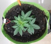 20260120_045902.jpg 20260120_045902.jpg