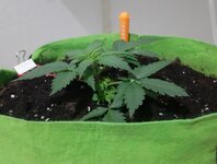 20260120_045847.jpg 20260120_045847.jpg