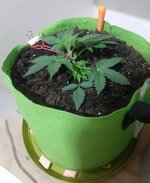 20260120_055926.jpg 20260120_055926.jpg