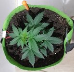 20260120_055859.jpg 20260120_055859.jpg