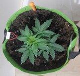 20260120_062659.jpg 20260120_062659.jpg