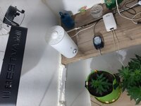 20260120_062631.jpg 20260120_062631.jpg