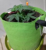 20260120_063404.jpg 20260120_063404.jpg