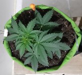 20260120_063949.jpg 20260120_063949.jpg