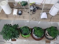 20260120_063910.jpg 20260120_063910.jpg