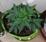 20260120_065753.jpg 20260120_065753.jpg