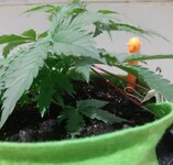 20260120_065807.jpg 20260120_065807.jpg