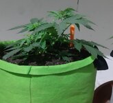 20260120_074358.jpg 20260120_074358.jpg