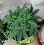 20260121_055000.jpg 20260121_055000.jpg