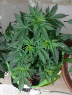 20260121_055740.jpg 20260121_055740.jpg