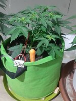 20260121_055726.jpg 20260121_055726.jpg