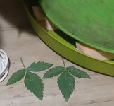 20250406_173537.jpg 20250406_173537.jpg