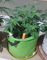 20260121_065419.jpg 20260121_065419.jpg