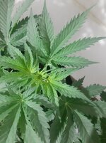 20260121_065444.jpg 20260121_065444.jpg