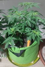 20260121_065839.jpg 20260121_065839.jpg