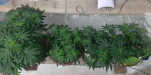 20260121_065815.jpg 20260121_065815.jpg