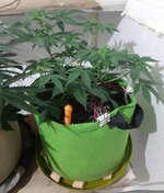 20260121_070338.jpg 20260121_070338.jpg