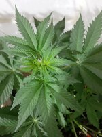 20260121_070408.jpg 20260121_070408.jpg