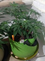 20260121_071345.jpg 20260121_071345.jpg