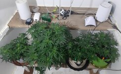 20260121_071332.jpg 20260121_071332.jpg