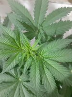 20260121_083557.jpg 20260121_083557.jpg