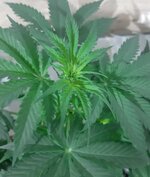 20260121_084904.jpg 20260121_084904.jpg