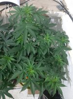 20260121_085547.jpg 20260121_085547.jpg