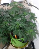 20260121_085535.jpg 20260121_085535.jpg