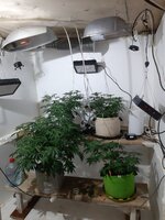 20260121_090857.jpg 20260121_090857.jpg