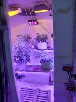 20260121_090827.jpg 20260121_090827.jpg