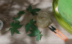 20250415_231049.jpg 20250415_231049.jpg