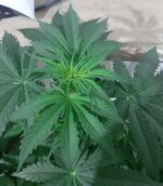 20260121_090801.jpg 20260121_090801.jpg