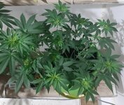 20260121_091554.jpg 20260121_091554.jpg