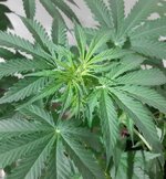 20260121_091522.jpg 20260121_091522.jpg