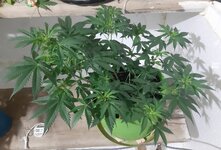 20260121_091757.jpg 20260121_091757.jpg