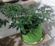 20260121_092021.jpg 20260121_092021.jpg