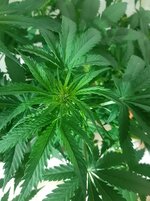 20260121_094057.jpg 20260121_094057.jpg