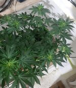 20260122_060754.jpg 20260122_060754.jpg