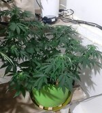 20260122_071905.jpg 20260122_071905.jpg