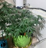 20260122_072406.jpg 20260122_072406.jpg