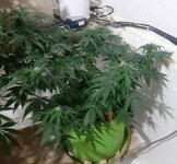 20260123_065614.jpg 20260123_065614.jpg