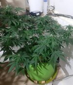 20260123_070427.jpg 20260123_070427.jpg