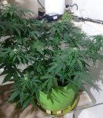 20260123_070659.jpg 20260123_070659.jpg