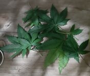 20260123_070724.jpg 20260123_070724.jpg