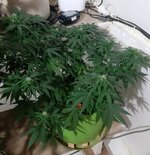 20260123_072242.jpg 20260123_072242.jpg