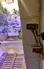 20260123_072307.jpg 20260123_072307.jpg