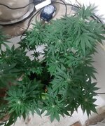 20260124_064257.jpg 20260124_064257.jpg