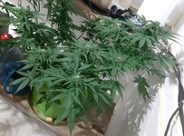 20260124_064837.jpg 20260124_064837.jpg