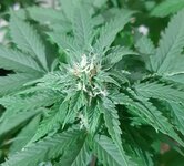 20260124_064818.jpg 20260124_064818.jpg