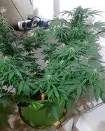 20260124_070948.jpg 20260124_070948.jpg